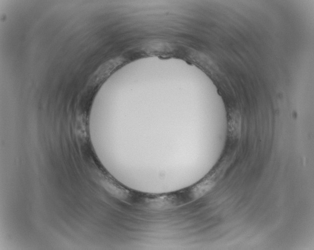 X0000072950430200608111630