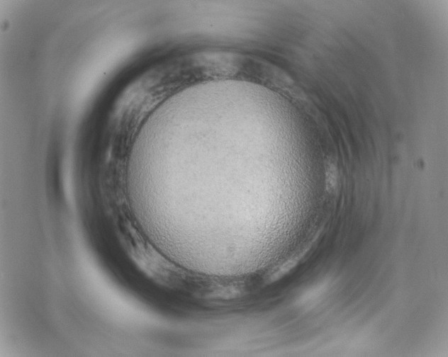 X0000072950431200608111630