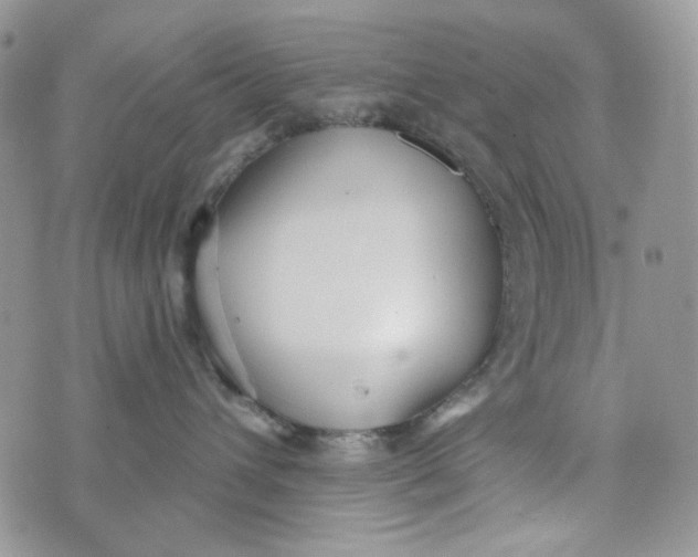 X0000072950432200608111630