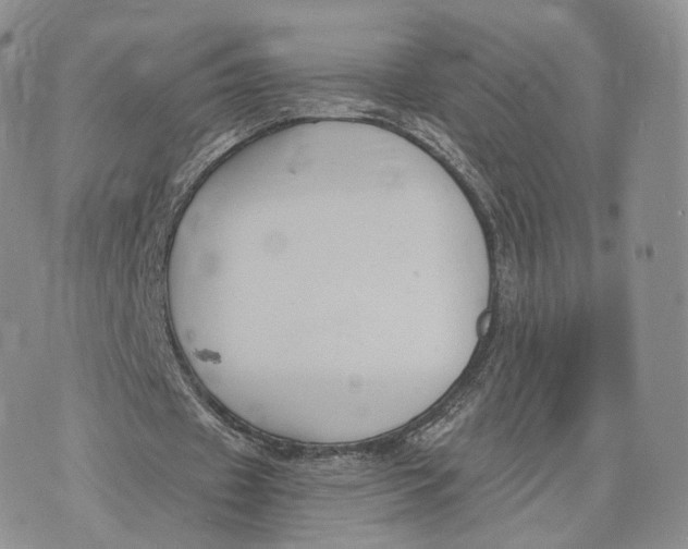 X0000072950433200608111629