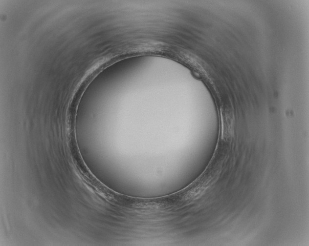 X0000072950435200608111629