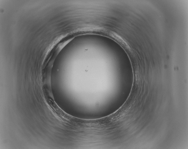 X0000072950436200608111629