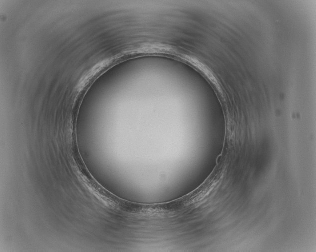 X0000072950437200608111629