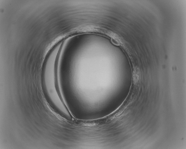 X0000072950438200608111629