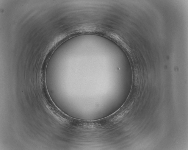 X0000072950439200608111629