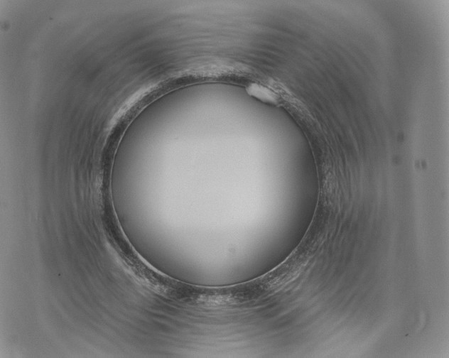 X0000072950440200608111630