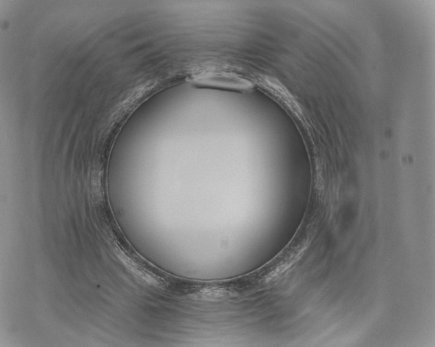 X0000072950441200608111630