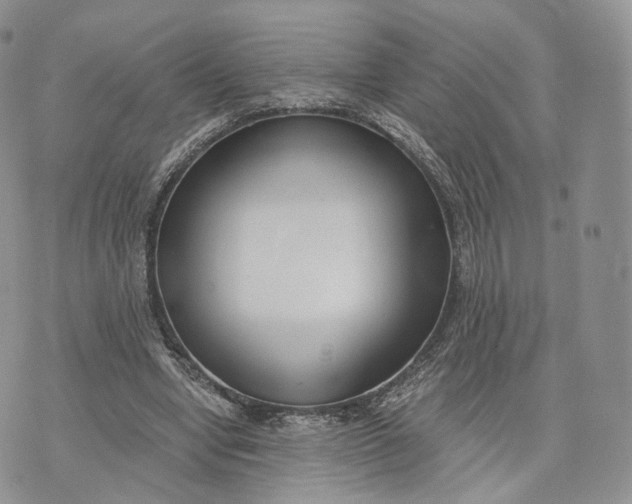 X0000072950442200608111630