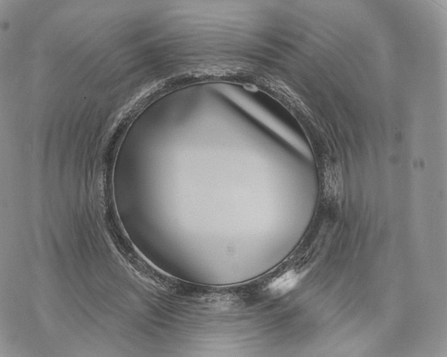 X0000072950444200608111630