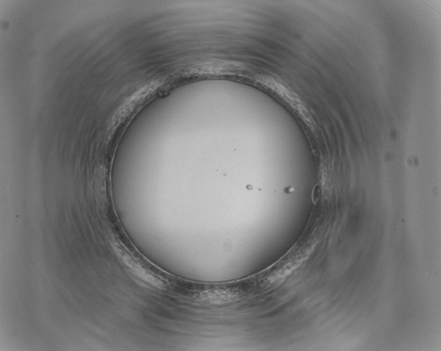 X0000072950445200608111630