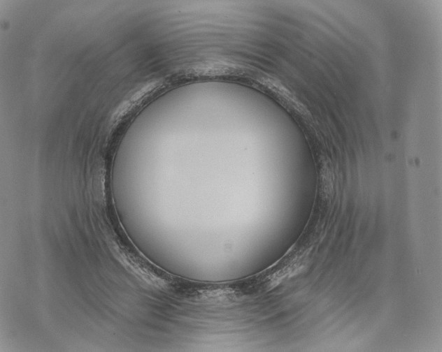 X0000072950446200608111630