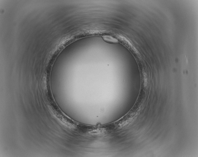 X0000072950447200608111630