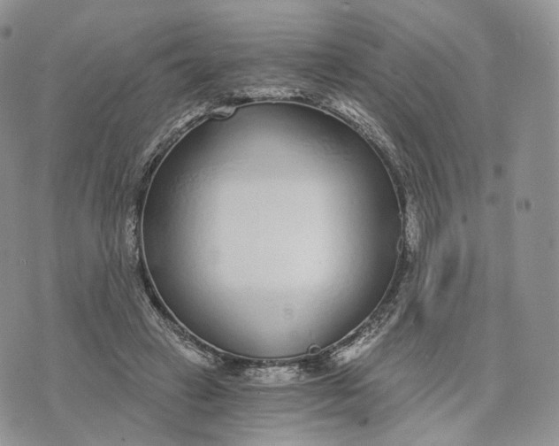 X0000072950449200608111630