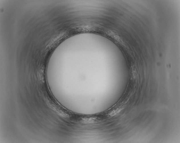 X0000072950450200608111630