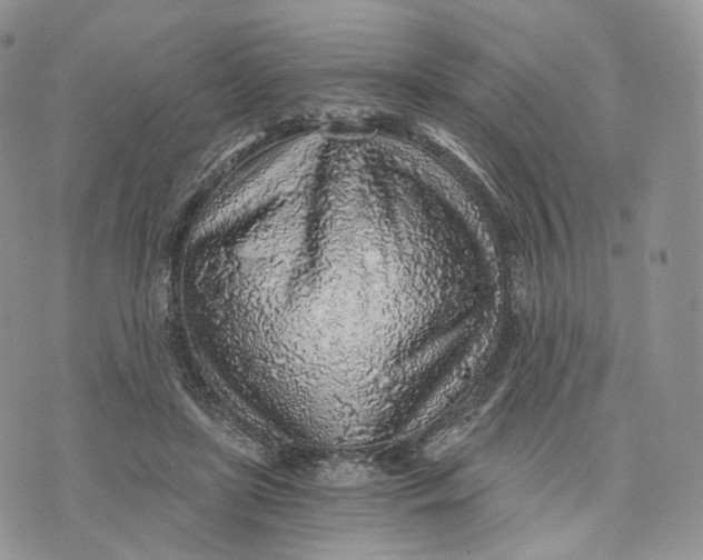 X0000072950451200608111630