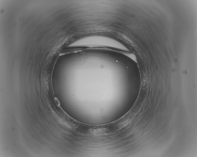 X0000072950452200608111630