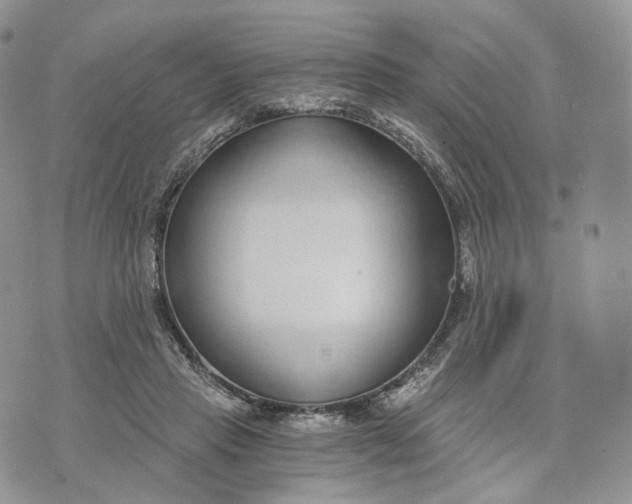 X0000072950453200608111630