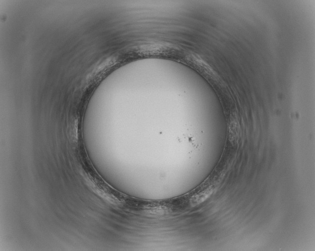 X0000072950454200608111630