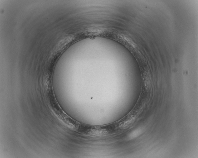 X0000072950455200608111630