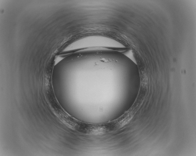 X0000072950456200608111630