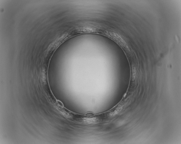 X0000072950457200608111630