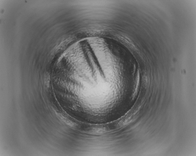 X0000072950458200608111630