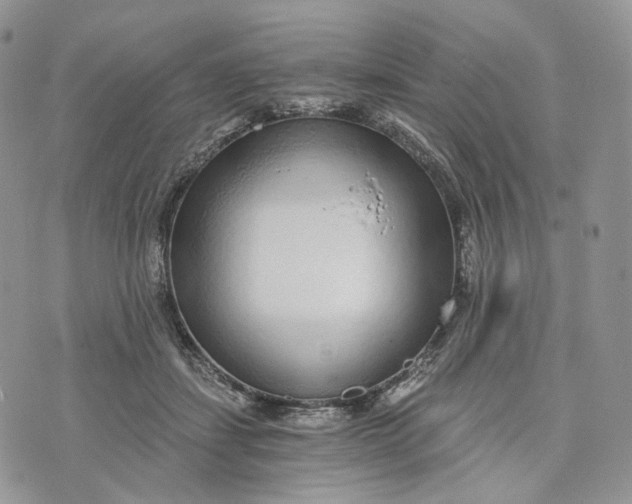 X0000072950459200608111630