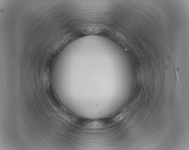 X0000072950460200608111630