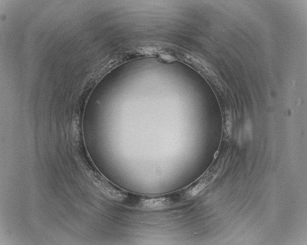 X0000072950461200608111630