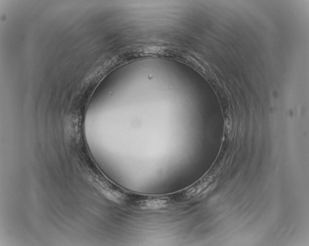 X0000072950462200608111630