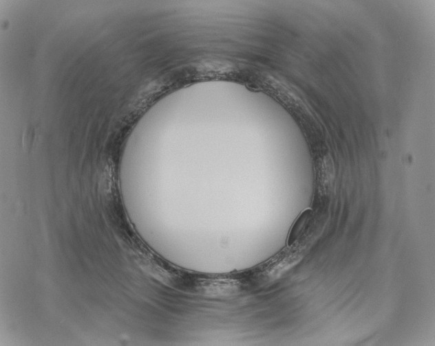 X0000072950463200608111630