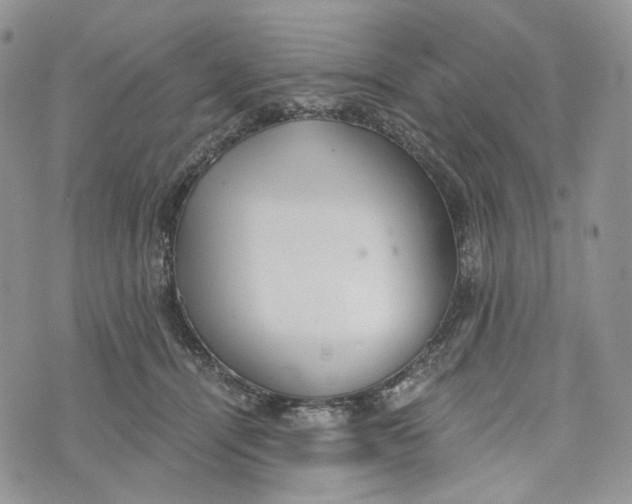 X0000072950464200608111630