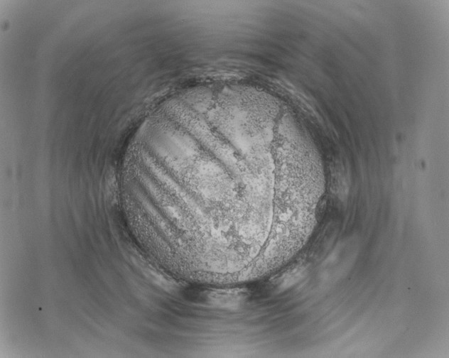 X0000072950465200608111630