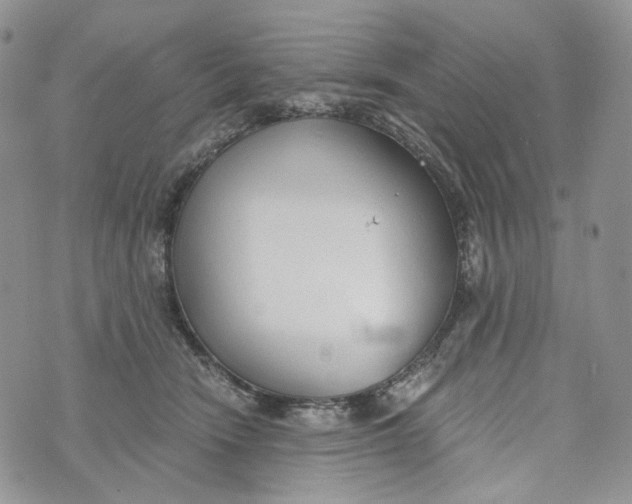 X0000072950466200608111630