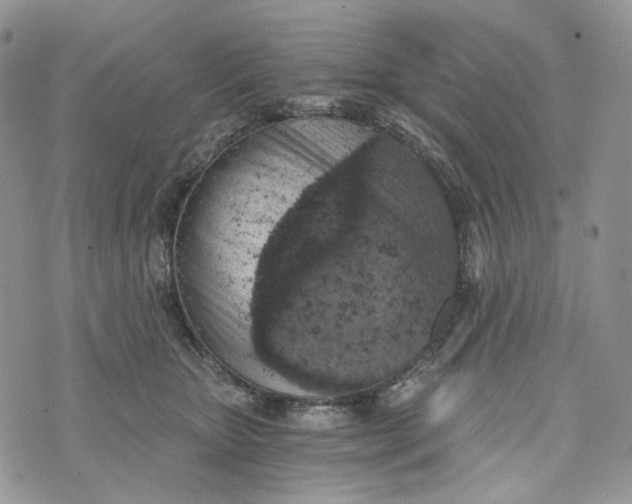 X0000072950467200608111630