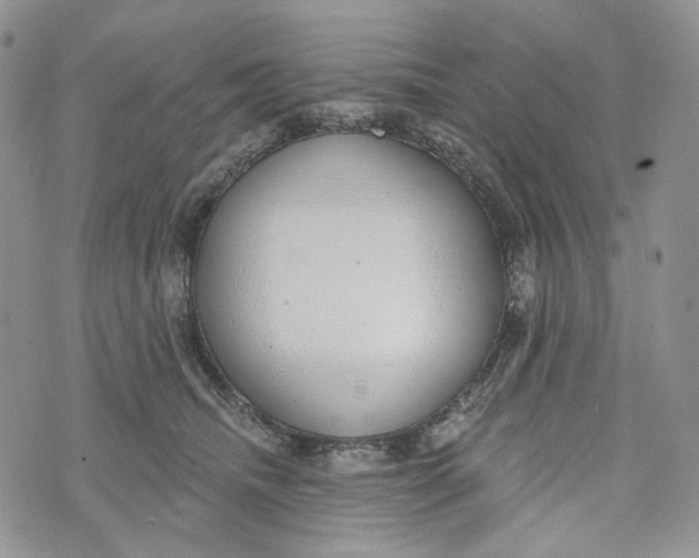 X0000072950468200608111630