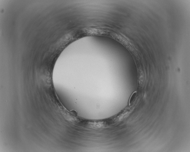 X0000072950469200608111630