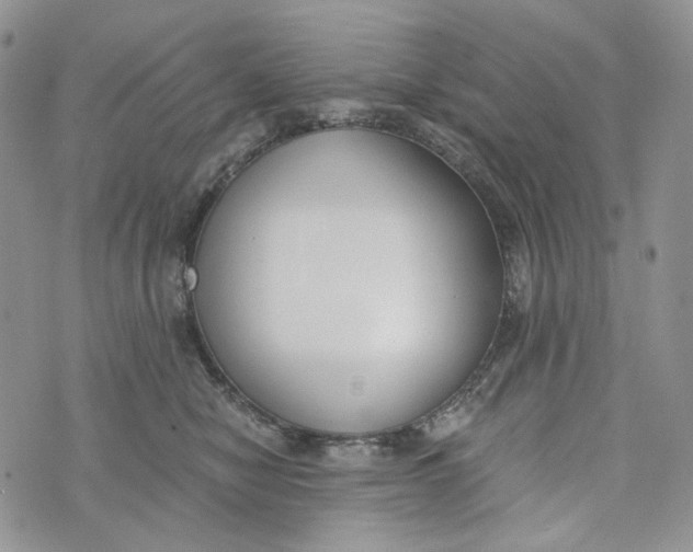 X0000072950470200608111630