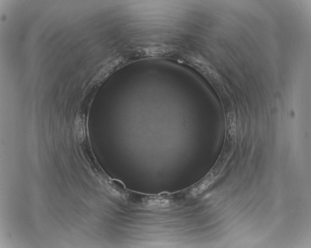 X0000072950471200608111630