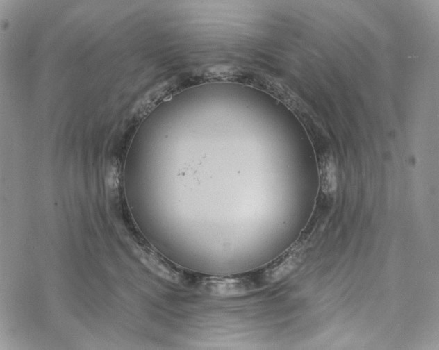 X0000072950472200608111630