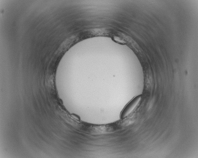 X0000072950473200608111630