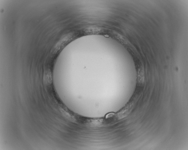 X0000072950474200608111630