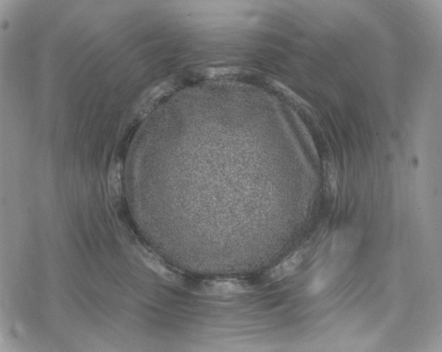 X0000072950475200608111630