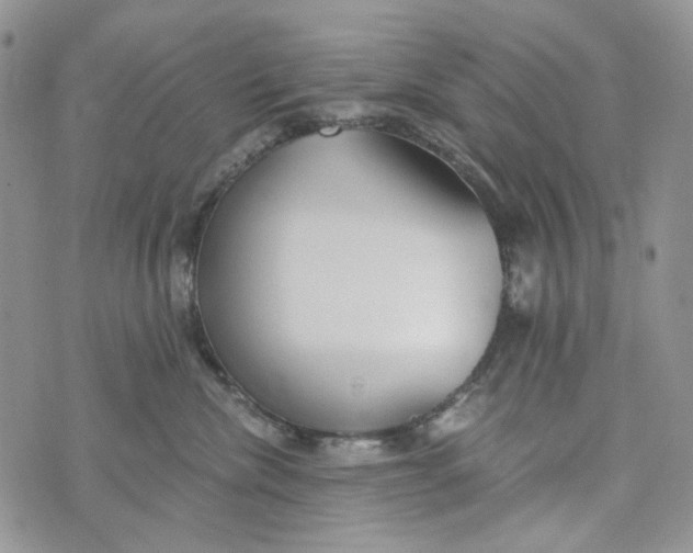 X0000072950476200608111630