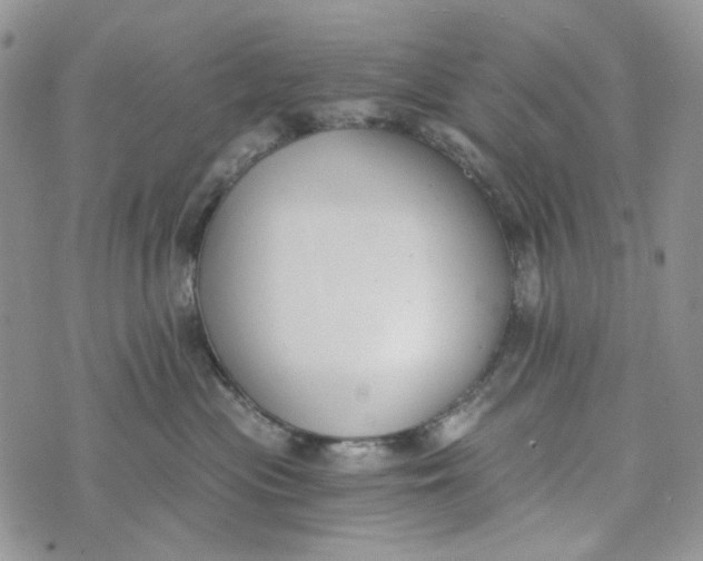 X0000072950477200608111630