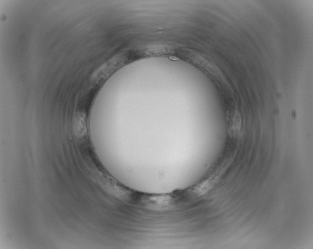 X0000072950478200608111630