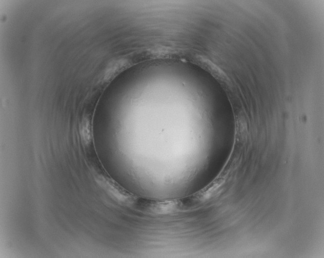 X0000072950479200608111630