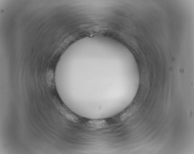 X0000072950480200608111630