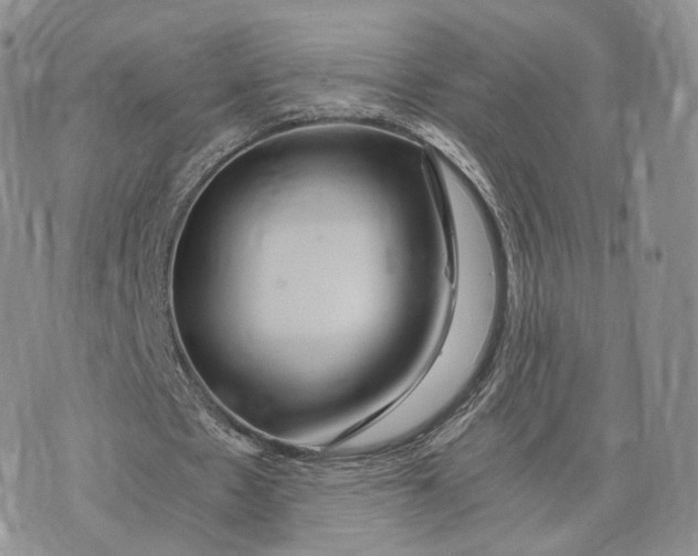 X0000072950481200608111629