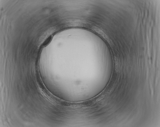 X0000072950482200608111629